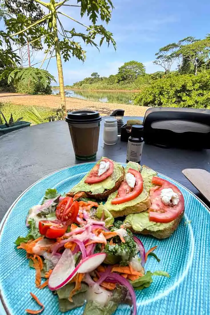 Avocado toast with coffee on an outdoor table looking at a river surrounded by tropical plantlife