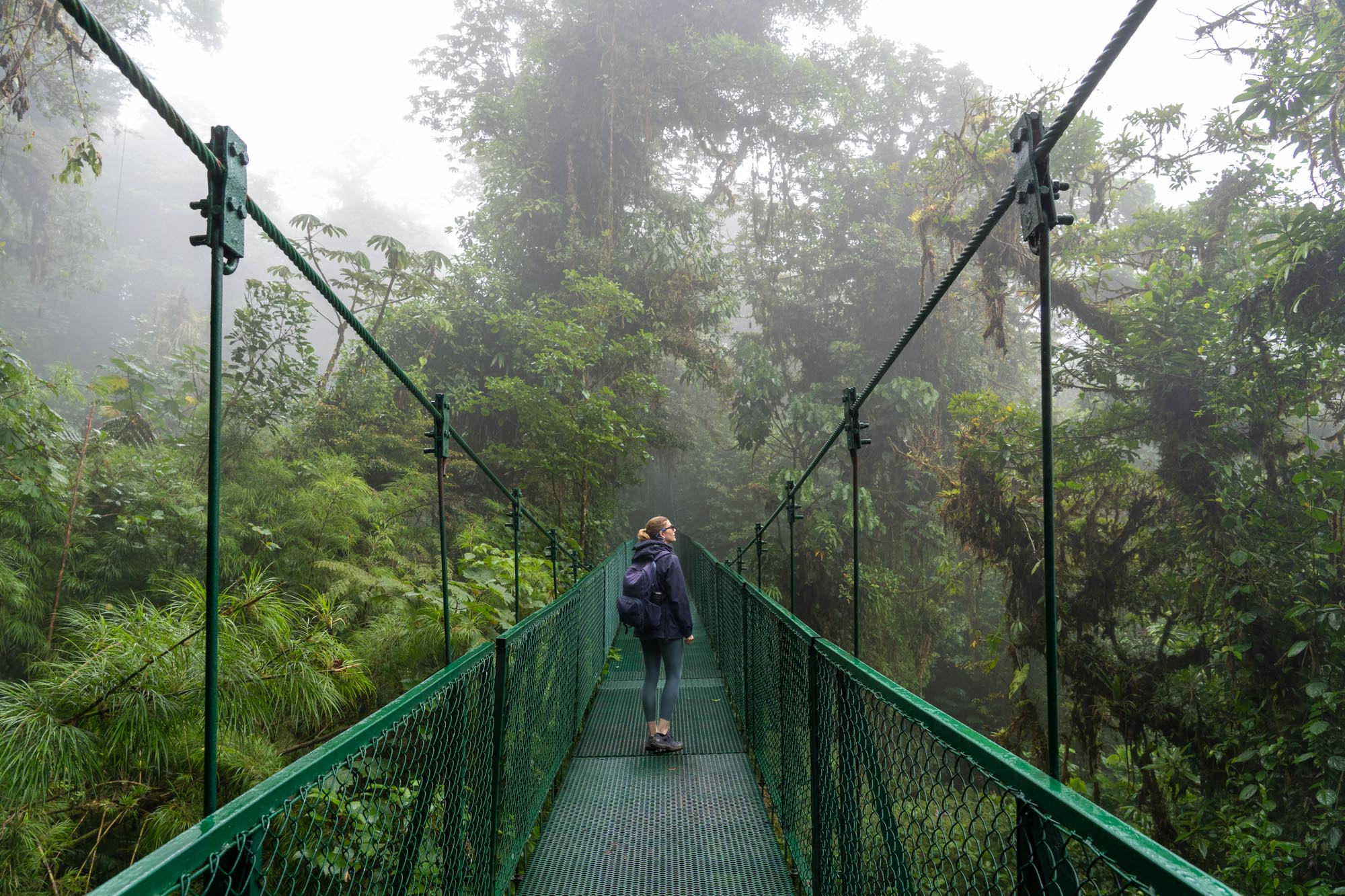 Woman standing on green suspension bridge among rainforest canopy and mist