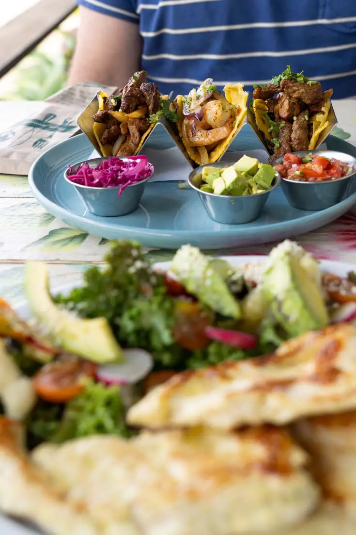 Plate of tacos with colourful toppings