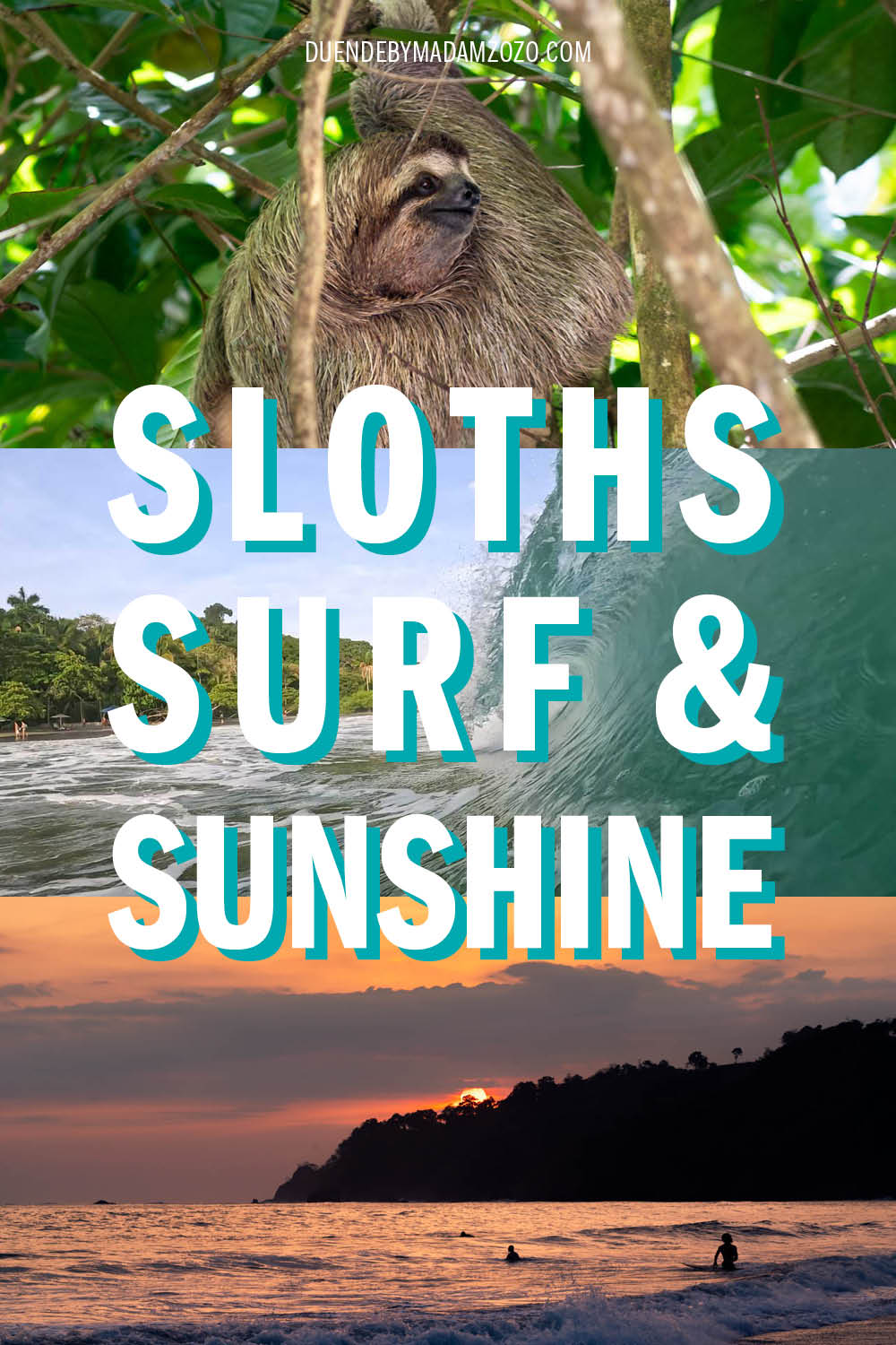 Images of a sloth in the rainforest, waves at a palm-fringed beach, and a colourful sunset, with the title "Sloths, Surf & Sunshine"