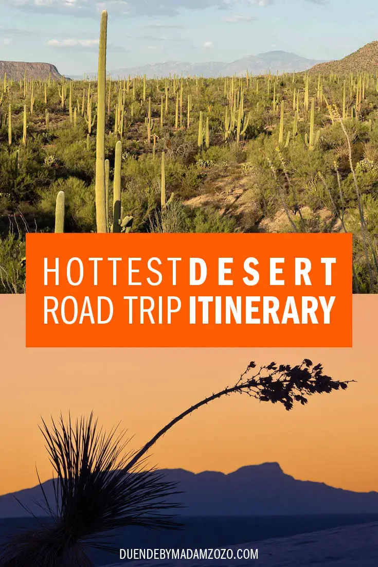 Photos of Saguaro and White Sands National Parks landscapes with the title "Hottest Desert Road Trip Itinerary"