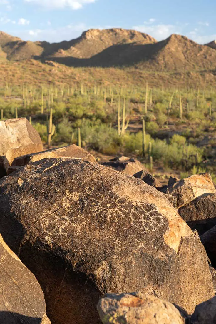 Petroglyphs on rock overlooking valley in Saguaro National Park 