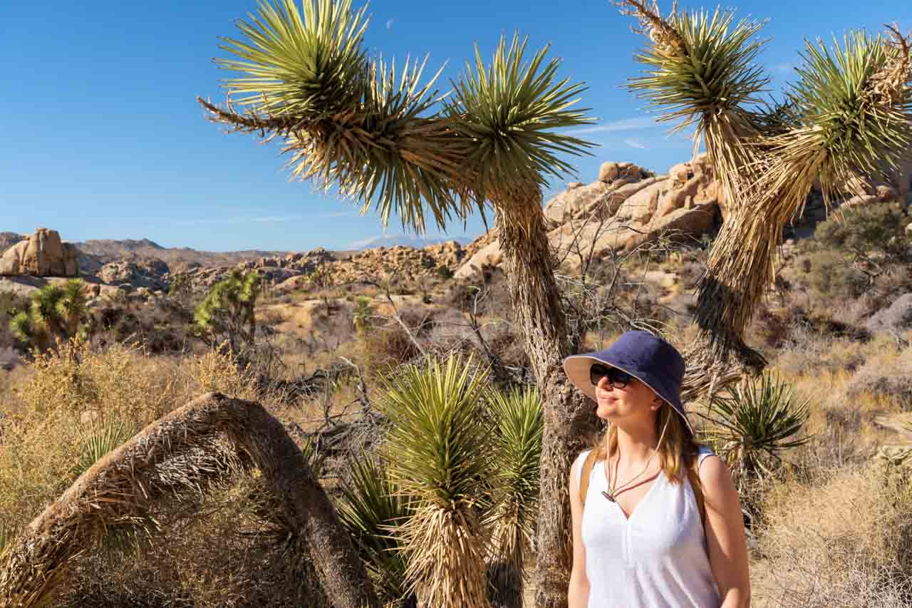 Madam ZoZo wearing blue hat, standing under a Joshua Tree