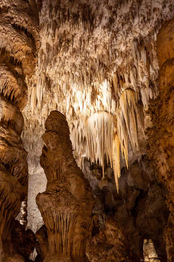 Stalactites and stalagmites illuminated in Carlsbad Caverns