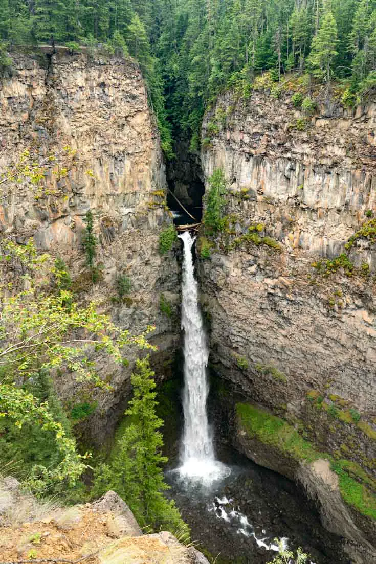 Tall waterfall cascading from rocky canyon rimmed with evergreen forest