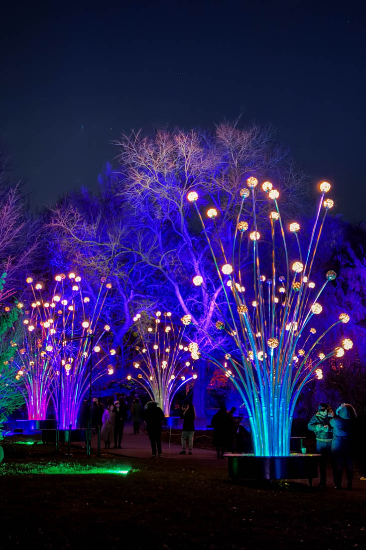 Trees and sculptures illuminated hues of blue, purple and green at night