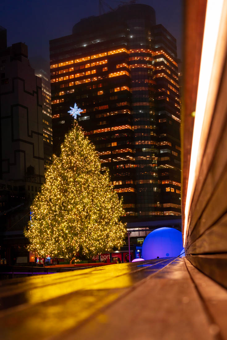 Large Christmas tree illuminated with golden light, with skyscraper in the background