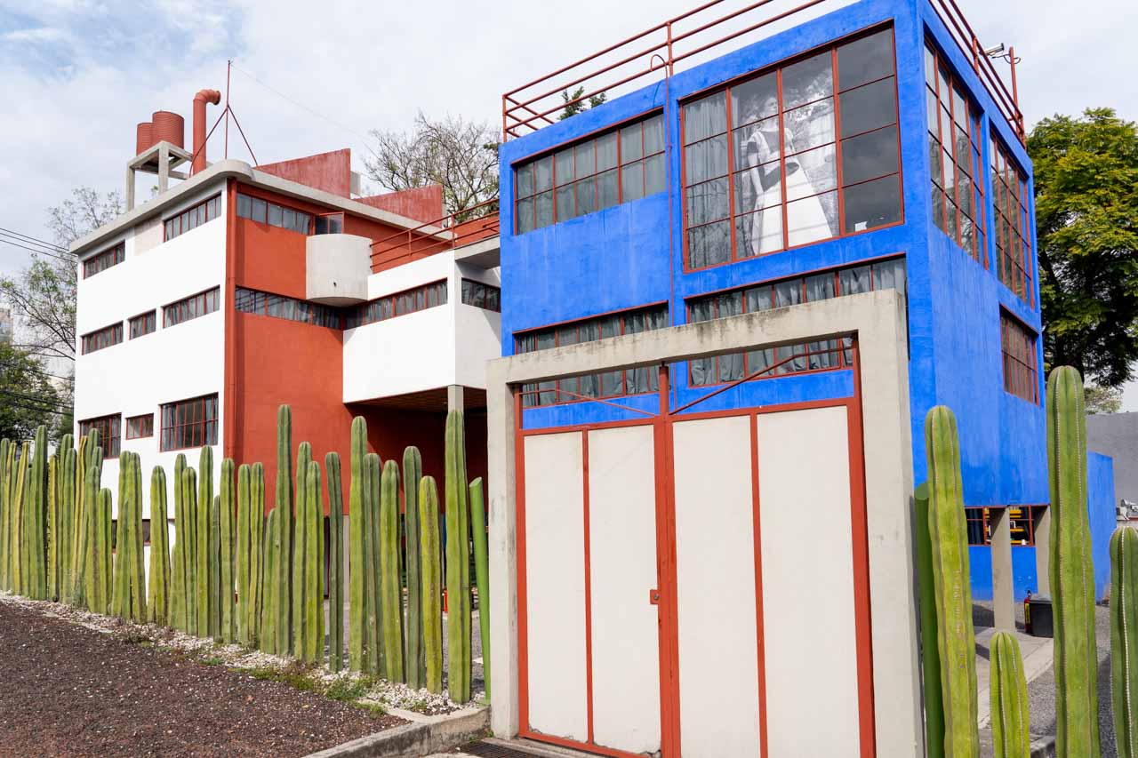 Image of cojoined homes with a cactus fence