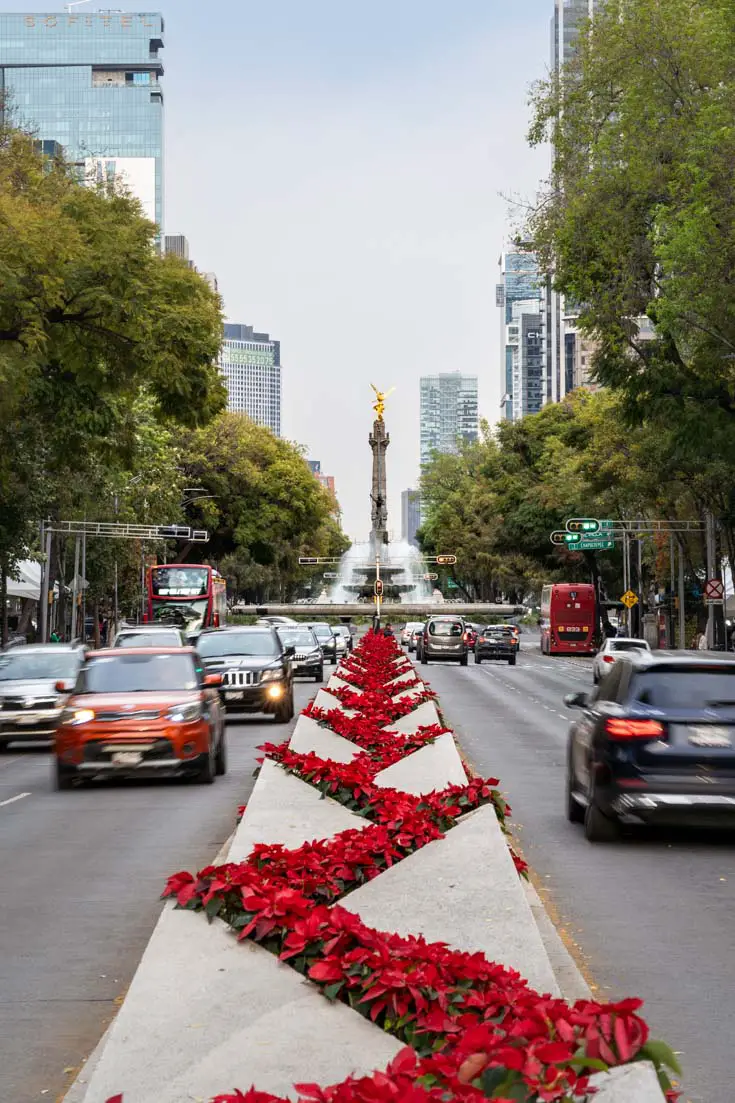 Dual carriageway with blooming poinsettias zigzagging down the centre, leading to a sculpture