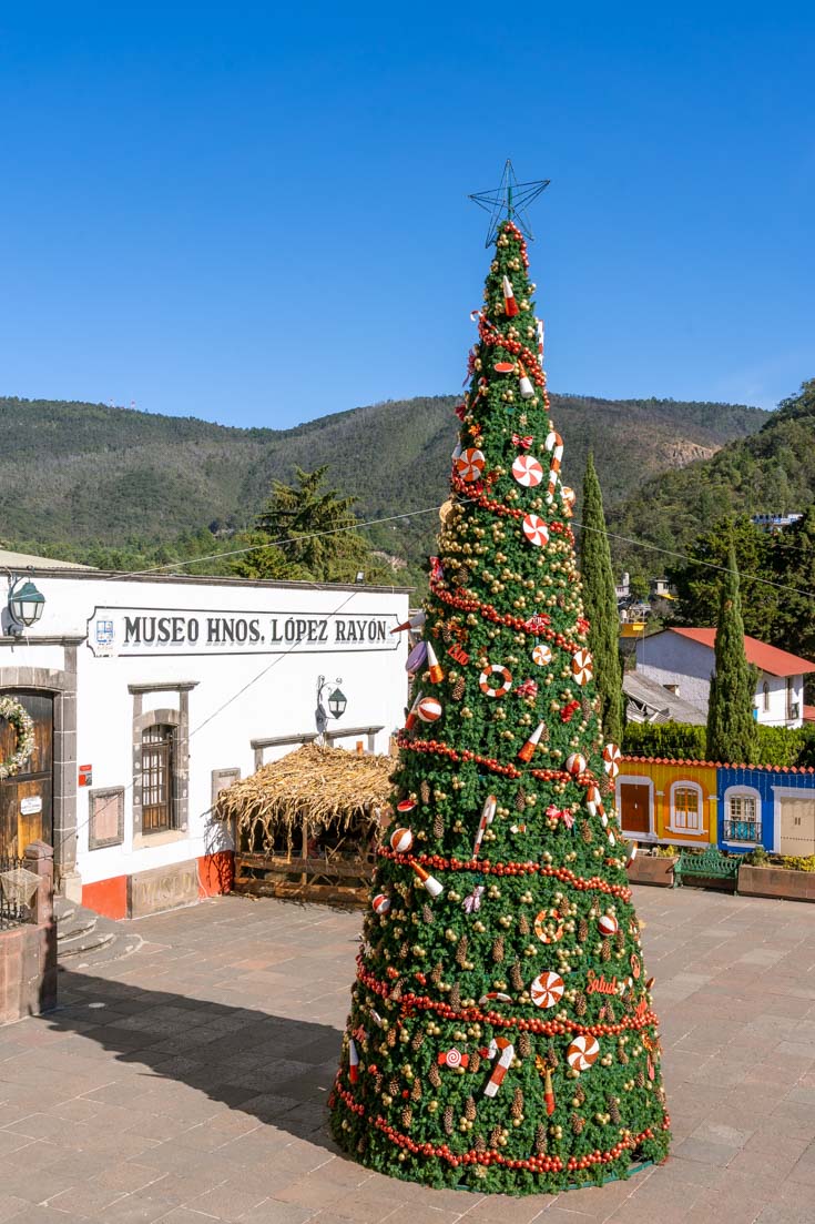 Exterior of Museo Hermanos López Rayón and tall Christmas tree in plaza foreground