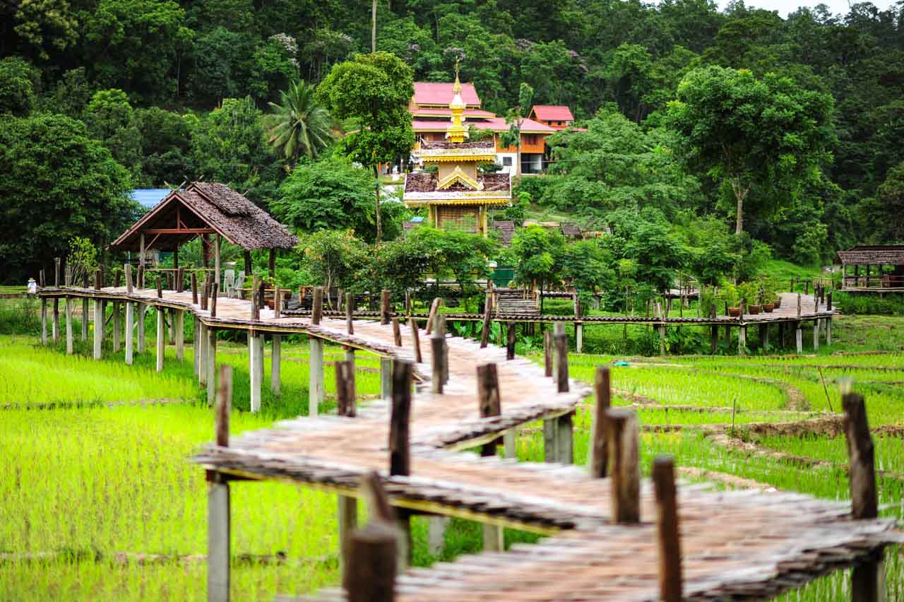 Winding bamboo bridge over rice fields at Boon Ko Ku So, Pai.