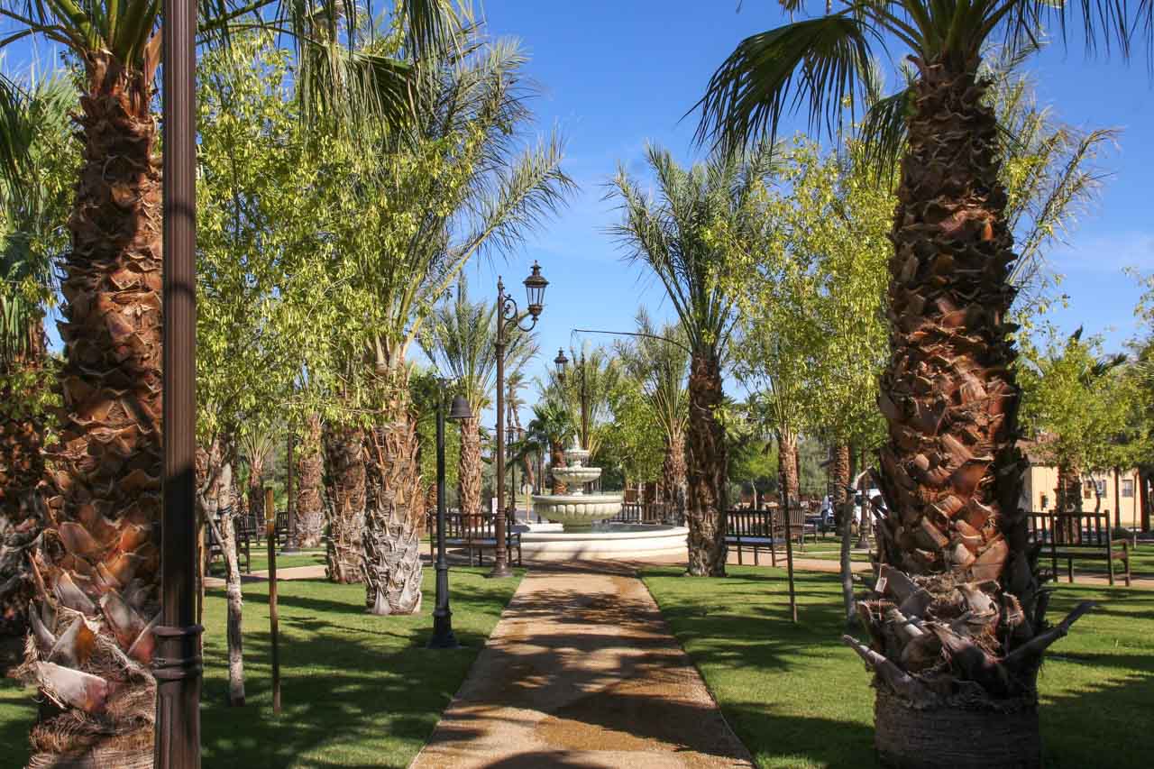 Fountain centered lawn with street lamps and date palms