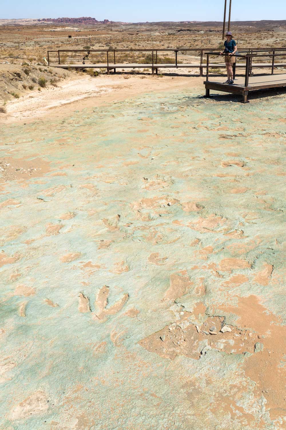 Woman looking over boardwalk at dinosaur footprints preserved in stone