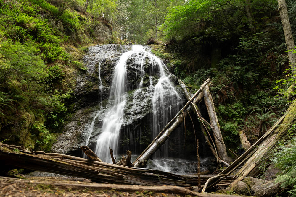 Waterfall that splits in two, viewed among fallen trees at base