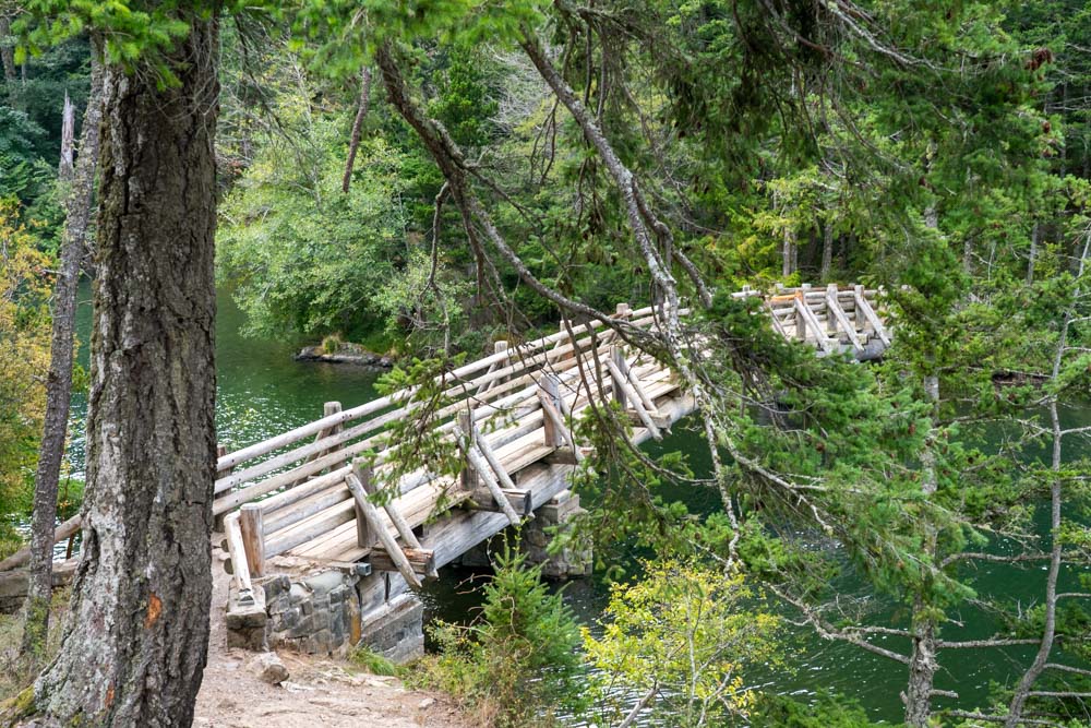 Wooden Bridge crossing green-hued lake, surrounded by evergreen forest
