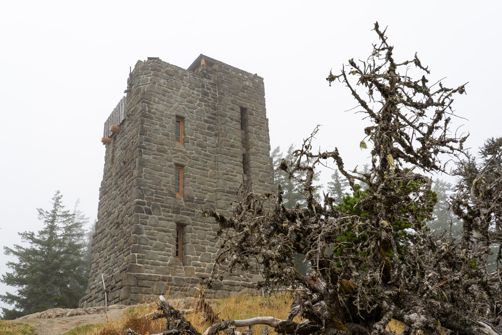 Large stone tower surrounded by evergreen forest and mist