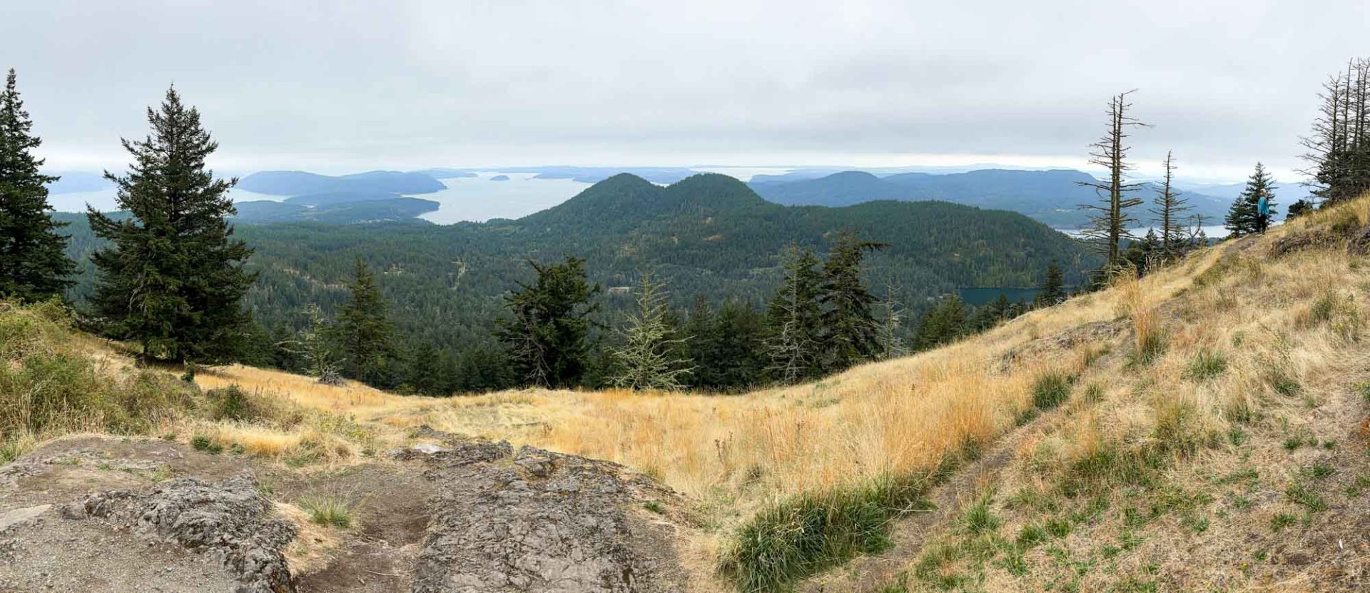 Lake viewed over trees to distant hills and islands