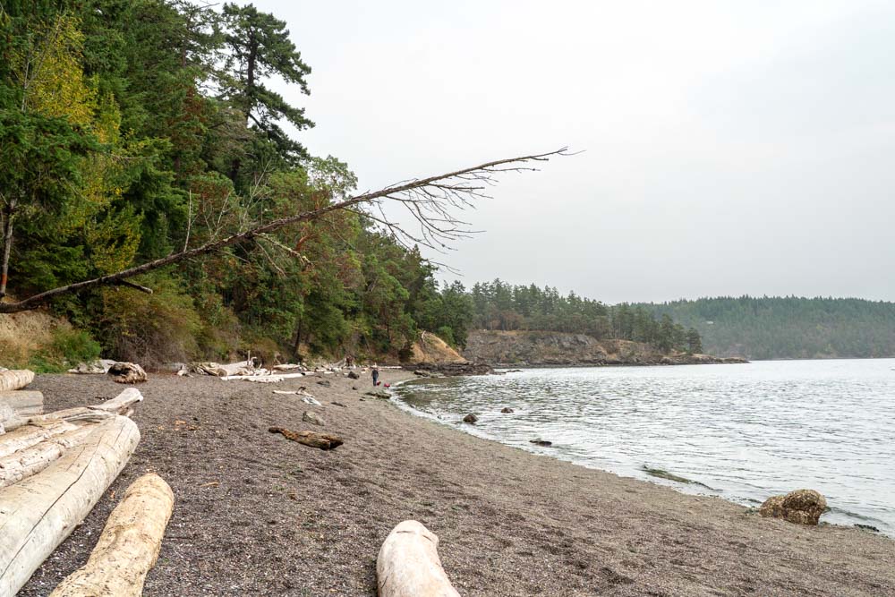 Rocky beach with driftwood in a scenic cove
