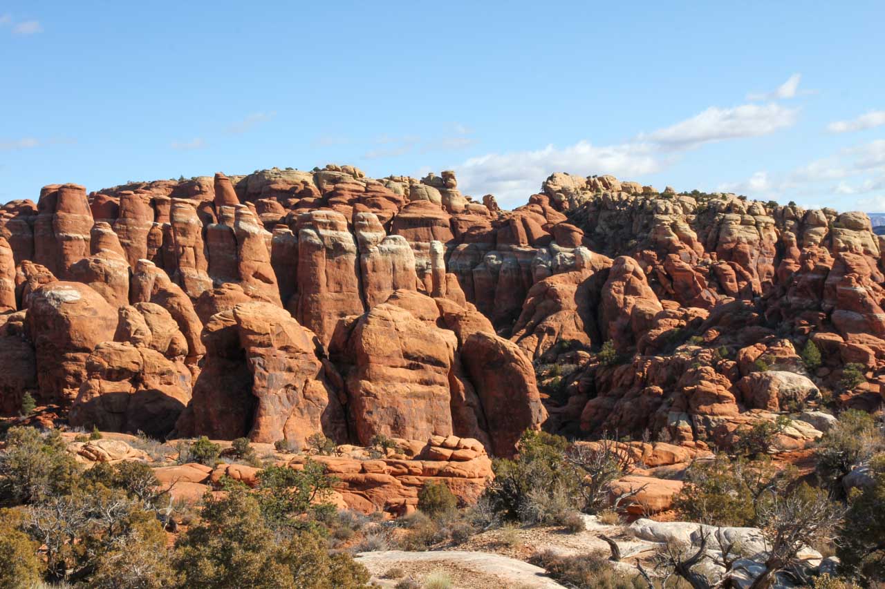 Landscape of tightly packed rock finials and spires
