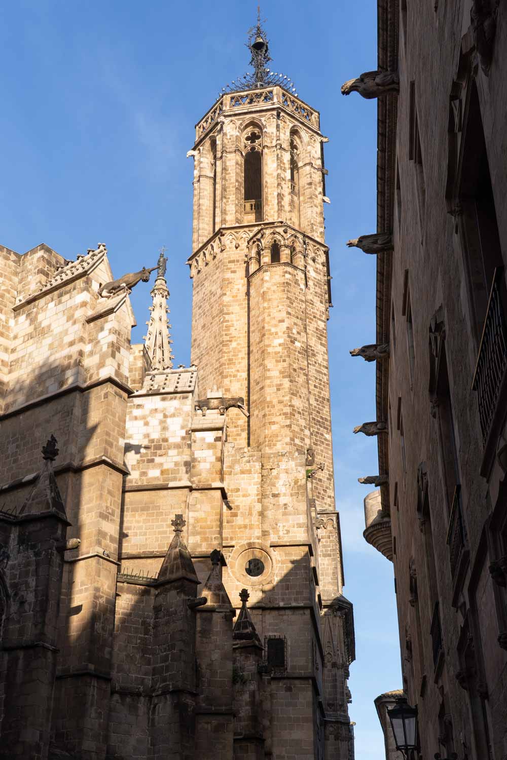 Bell tower of the Cathedral of Barcelona in the morning light, framed by shaded buildings below