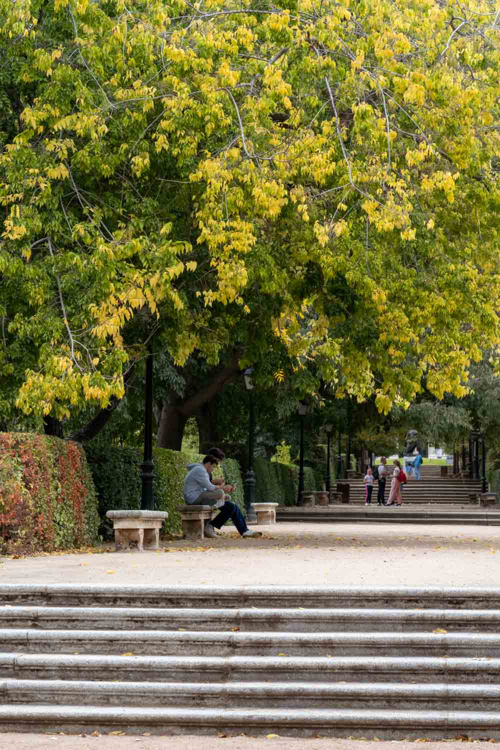 People seated under leafy trees, changing to their autumnal colours
