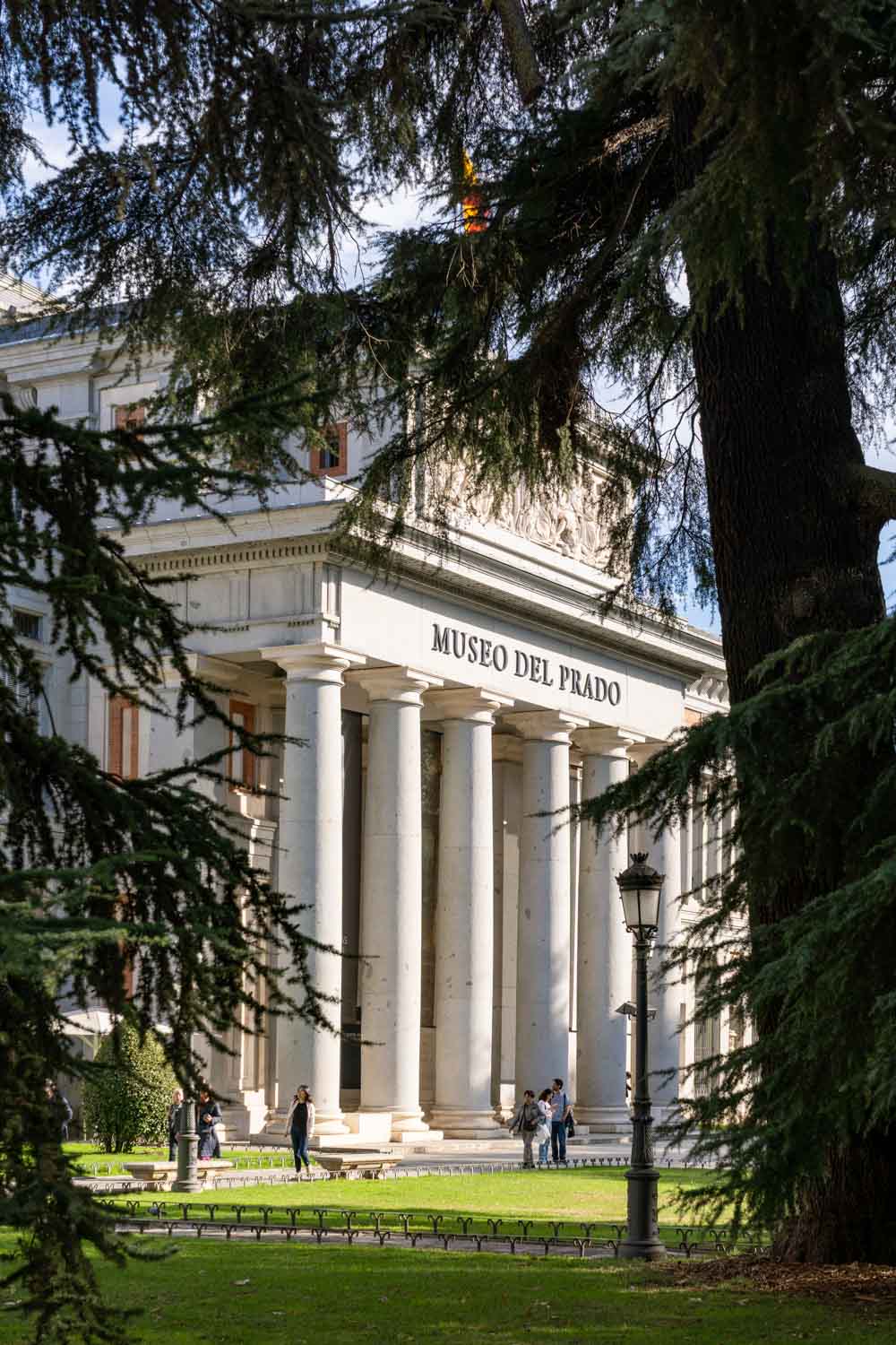 Neoclassical exterior of art museum framed by large evergreen trees