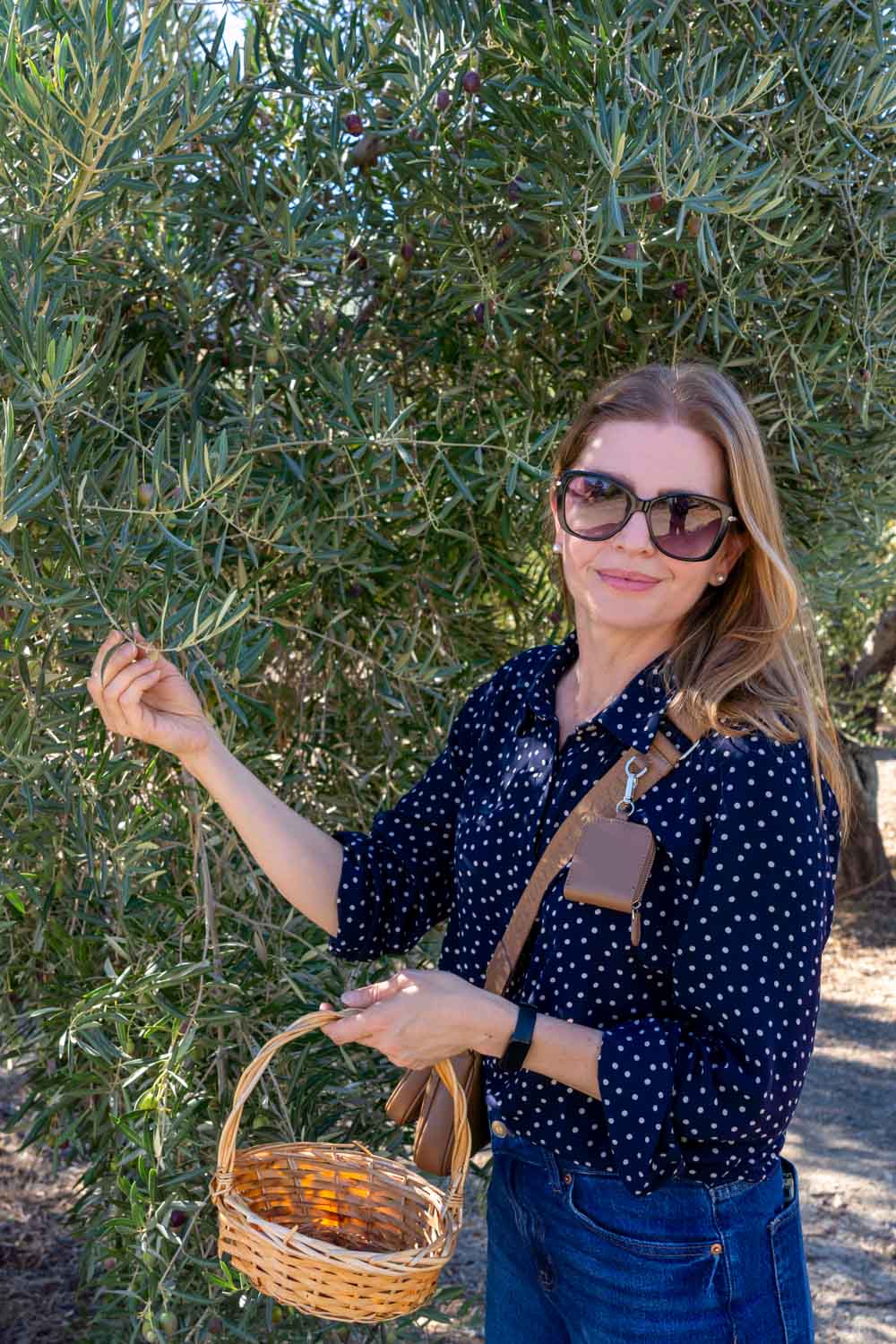Madam ZoZo holding a basket and picking olive from a tree in the shade