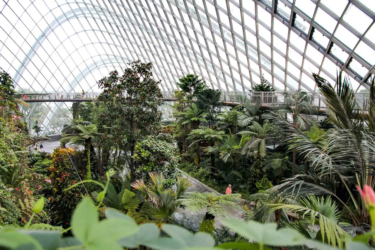 Skywalks and lush rainforest garden inside an amorphic glass conservatory