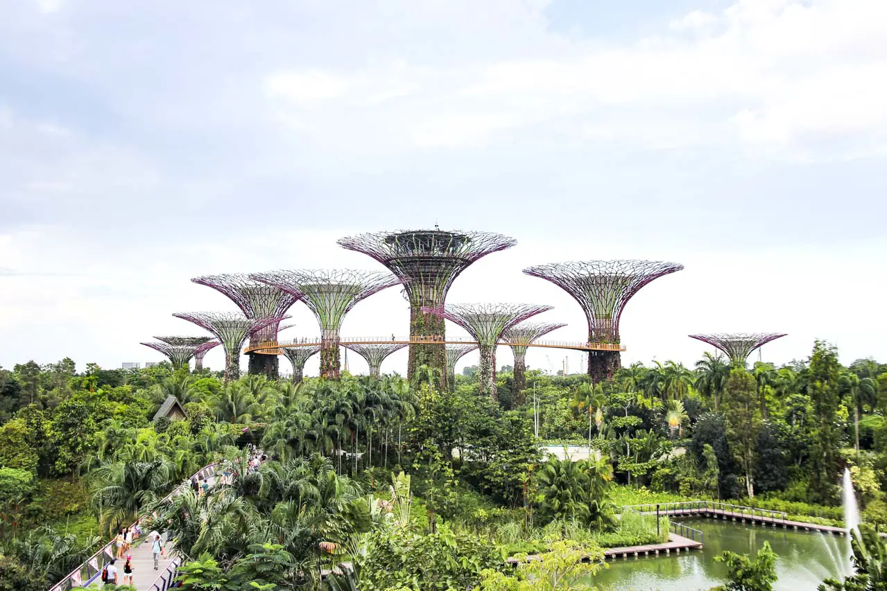 Supertrees at Gardens by the Bay, Singapore
