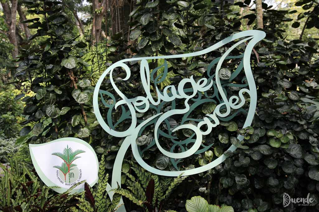 Foliage Garden - Singapore Botanic Garden