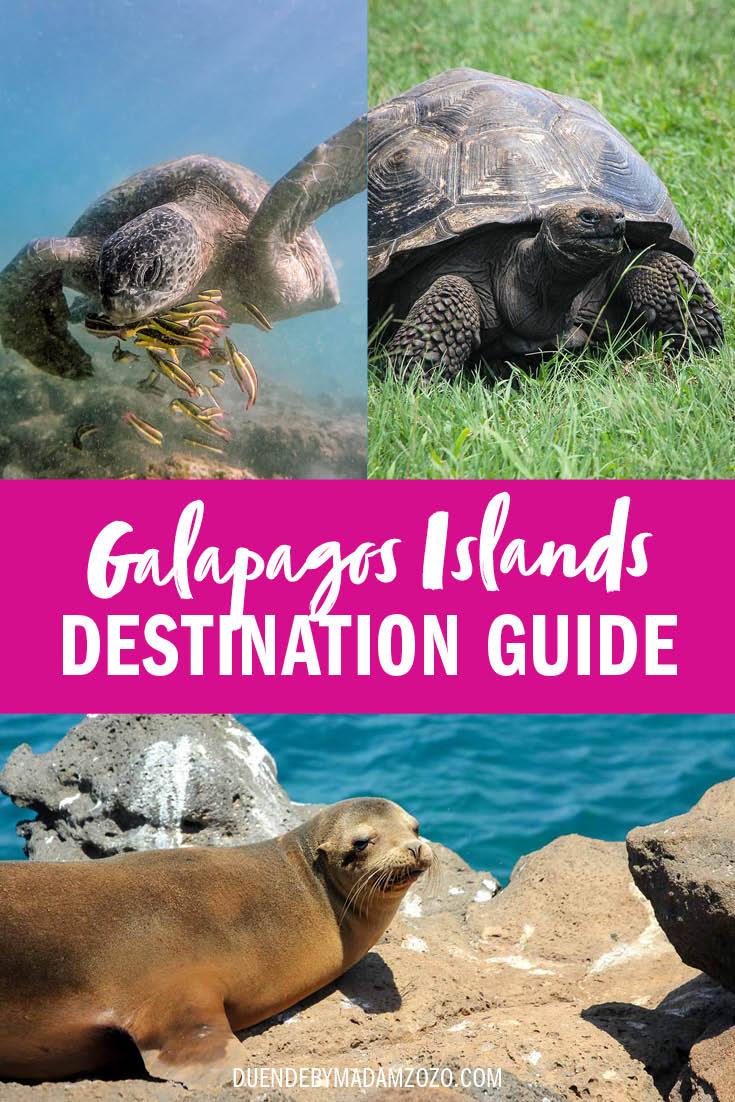 Images of wildlife with text overlay reading: Galapagos islands Destinationa Guide