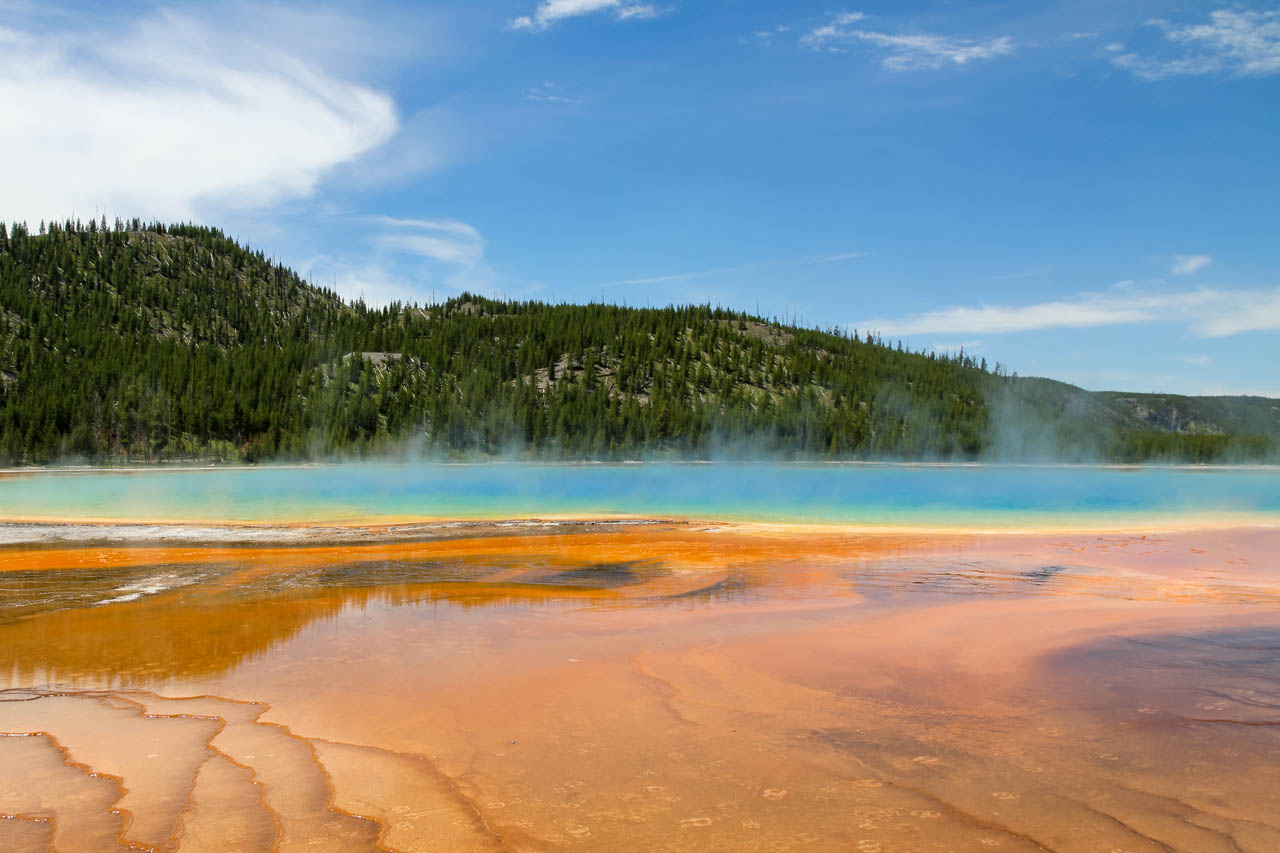 Grand Prismatic Spring with steam rising