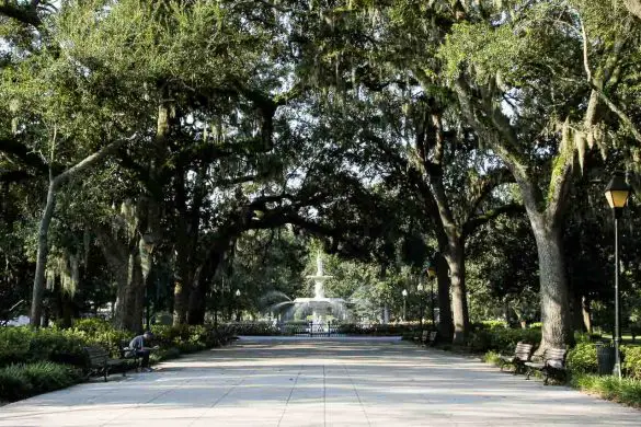 Standout Things to do in Savannah, Georgia