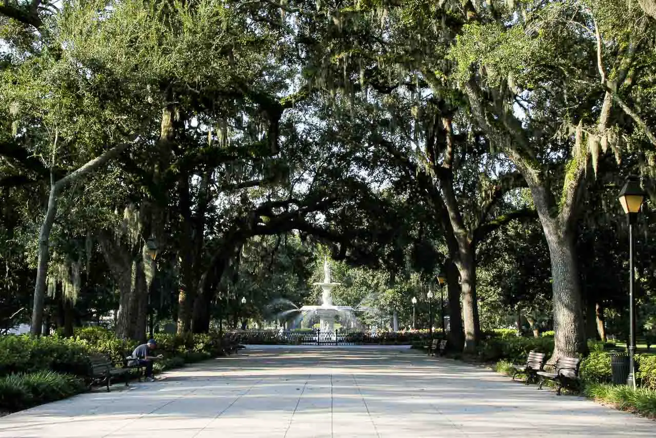 Oak lined promenade with white fountain at centre - Savannah, Georgia