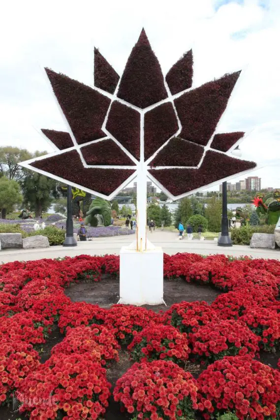 Phenomenal Living Sculptures in Canada