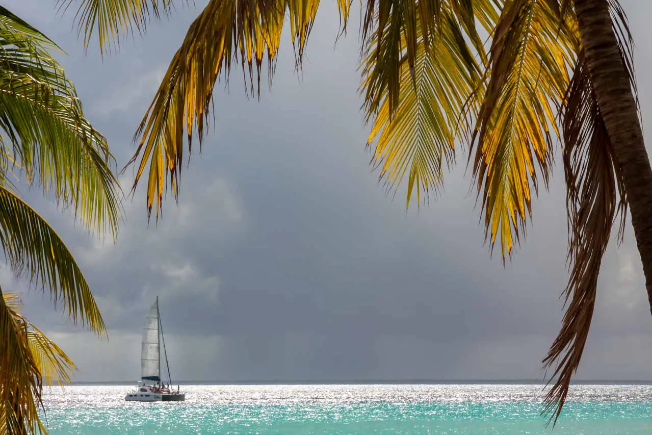 Dark storm clouds in the distance with a catamaran on aqua coloured waters framed by palm fronds in the foreground