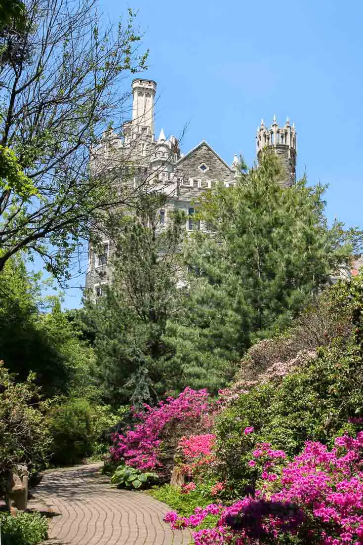 Casa Loma viewed from it's garden with pink azaleas in foreground