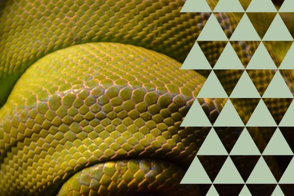 Ruakoru Pattern Wagara: Traditional Japanese Patterns & Their Meaning