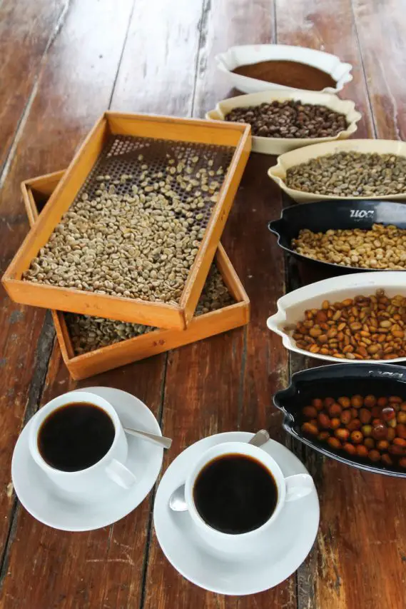 Black coffee in white cups with coffee beans at different stages of processing in dishes on a wooden tabletop