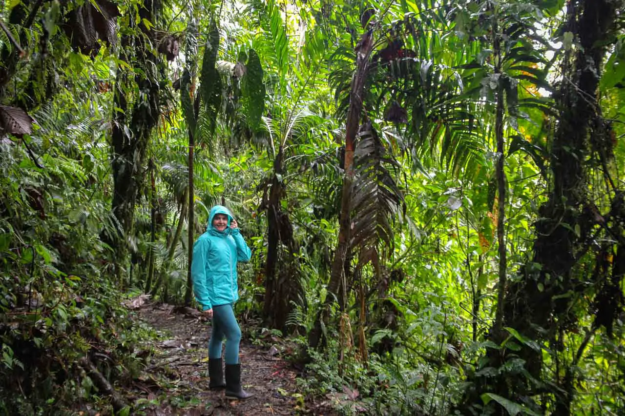 Woman in raincoat standing on trail in rainforest