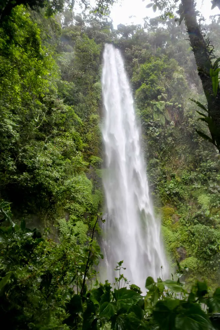 Tall waterfall surrounded by jungle