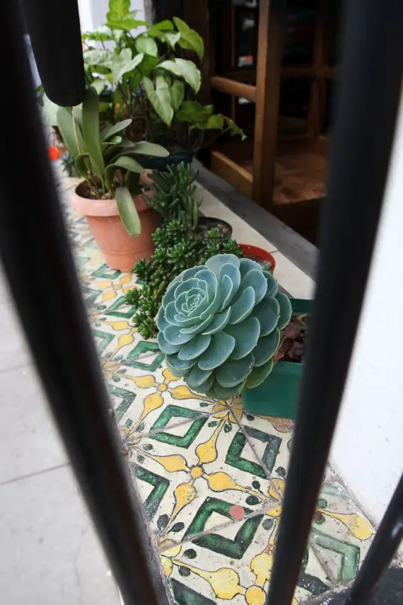 Window sill decorated in handpainted tiles and plants
