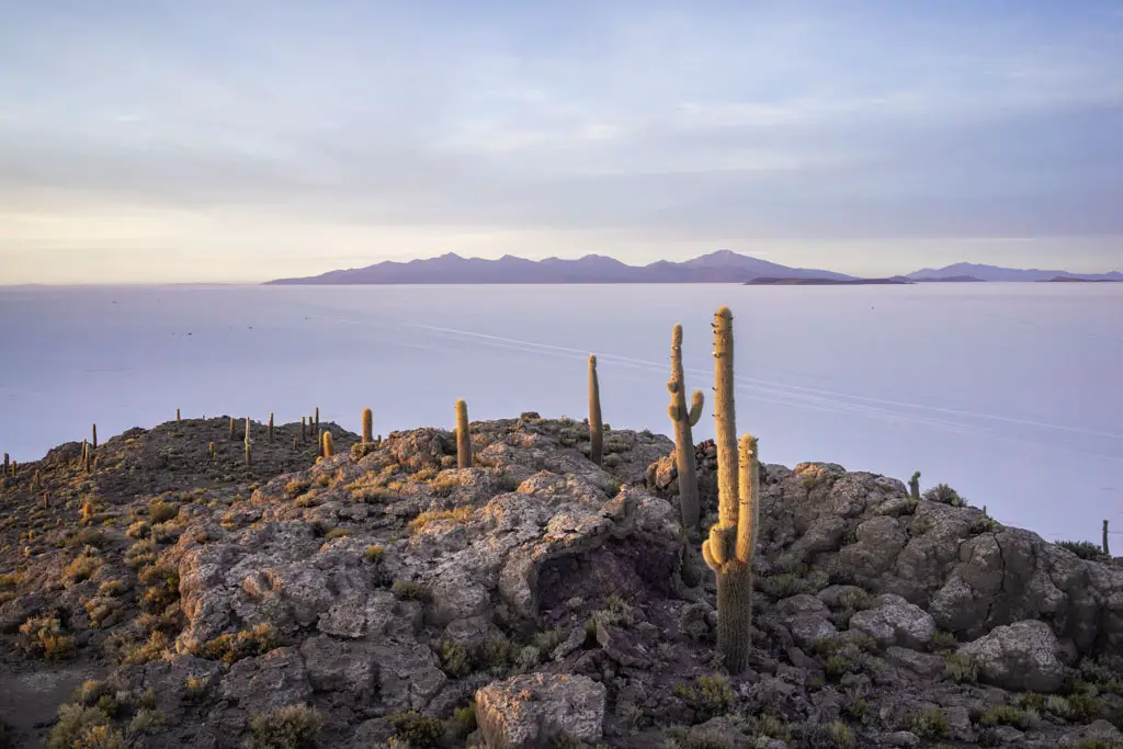 Incahuasi Island photographed by Robin Noguier