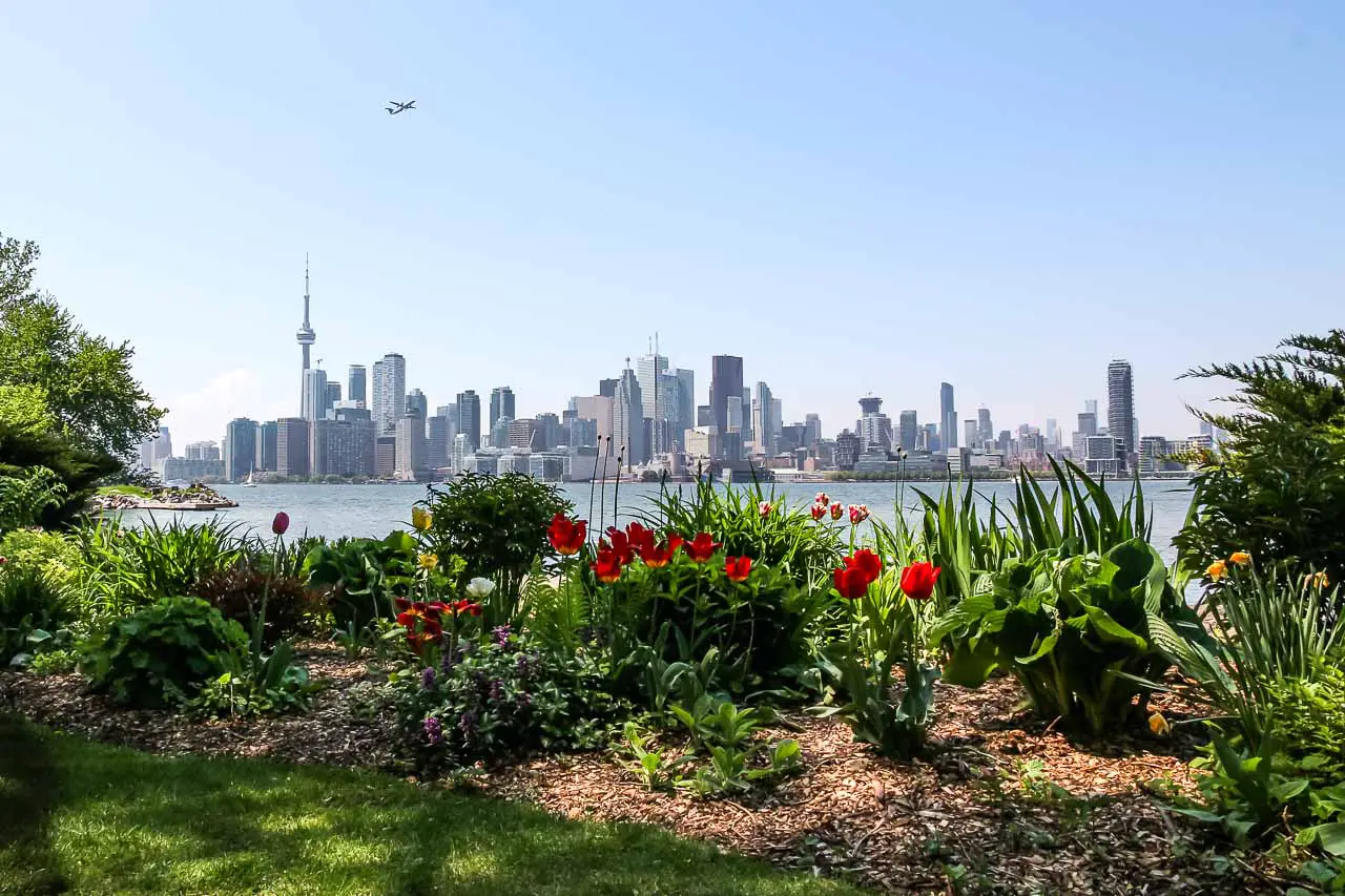 Toronto skyline with garden in the foreground and a plane in the sky.