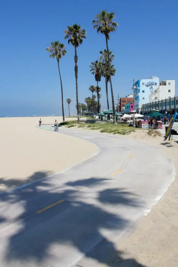 Photo of bike path weaving down beachside with palm trees and stores