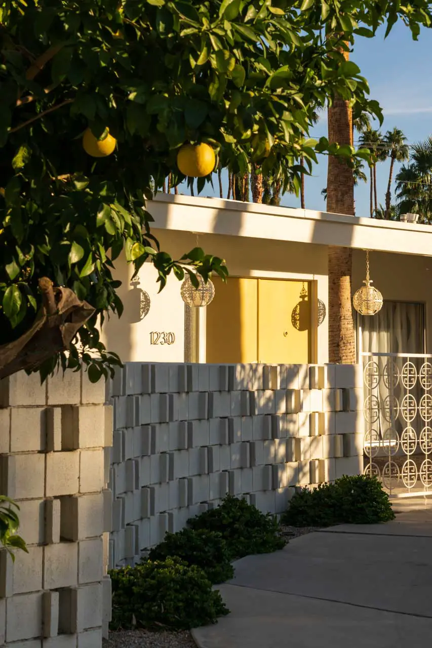 Lemons hanging from tree in foreground of breeze bricks and yellow front door