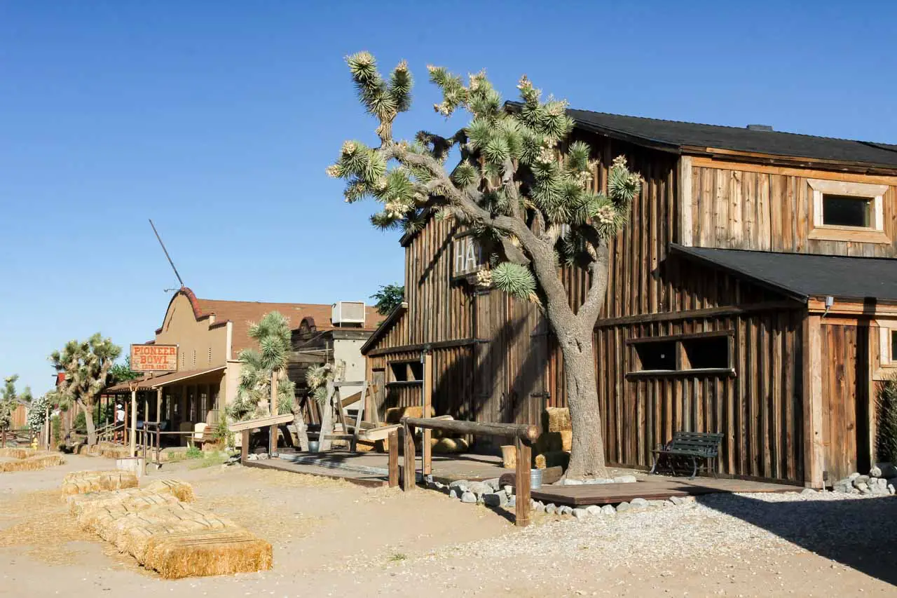 Old West style buildings with large Joshua Tree