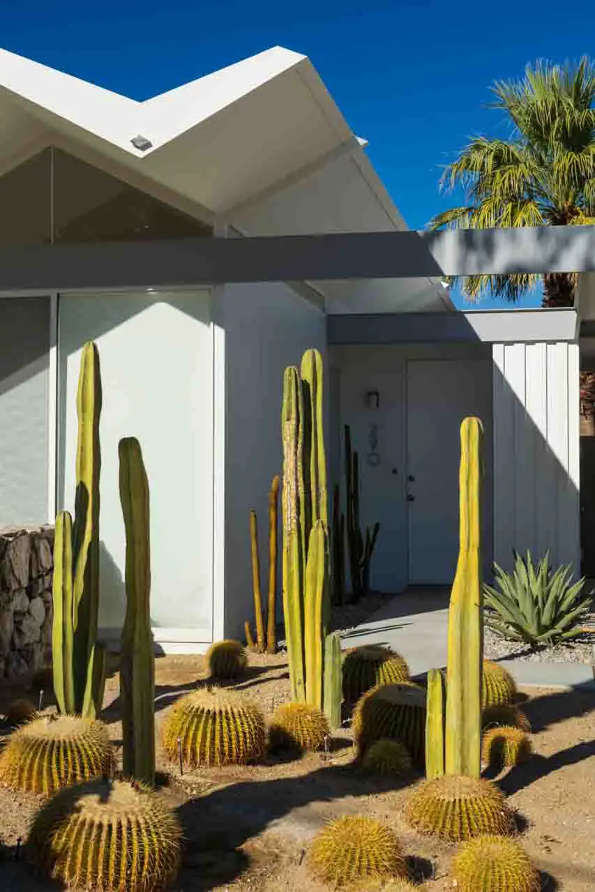 Cacti garden infront of home with folding steel plate roof