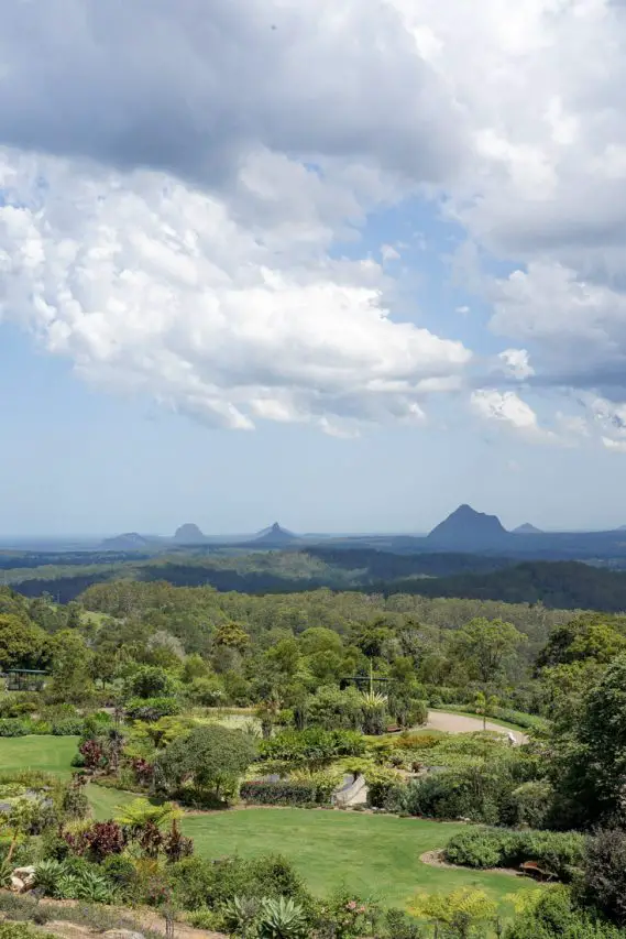 Botanic Gardens with Glass House Mountains in the background