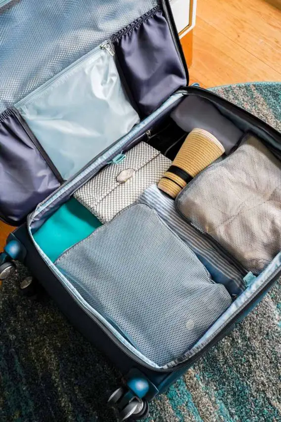 Suitcase inside straps on sale